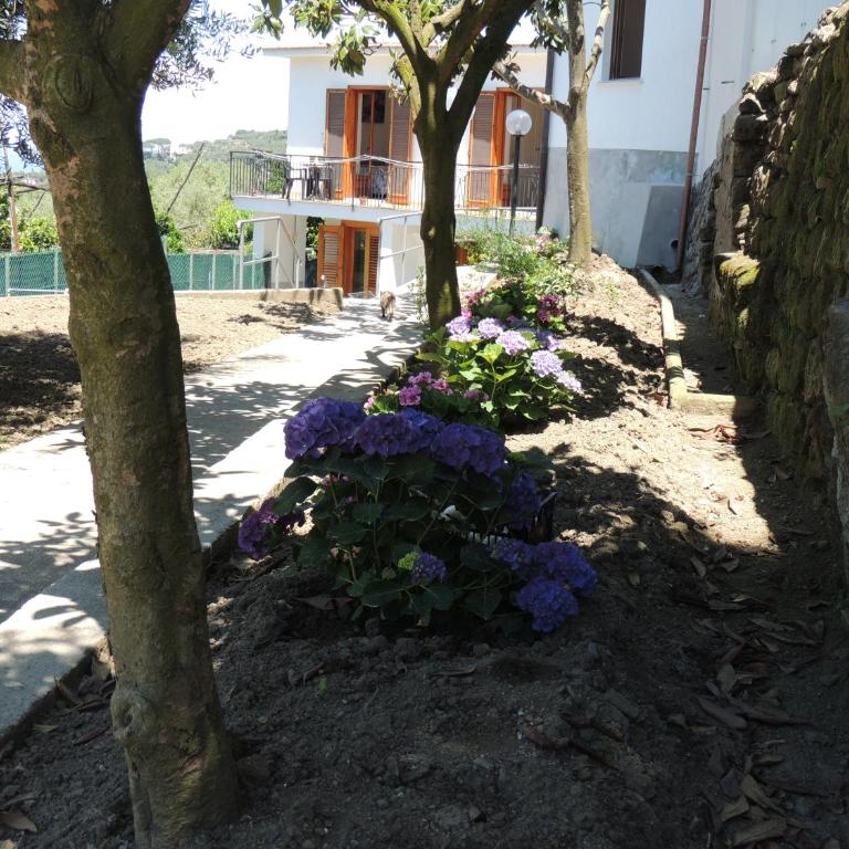 Johanna’s house - Casa con 2 Camere da Letto - 36
