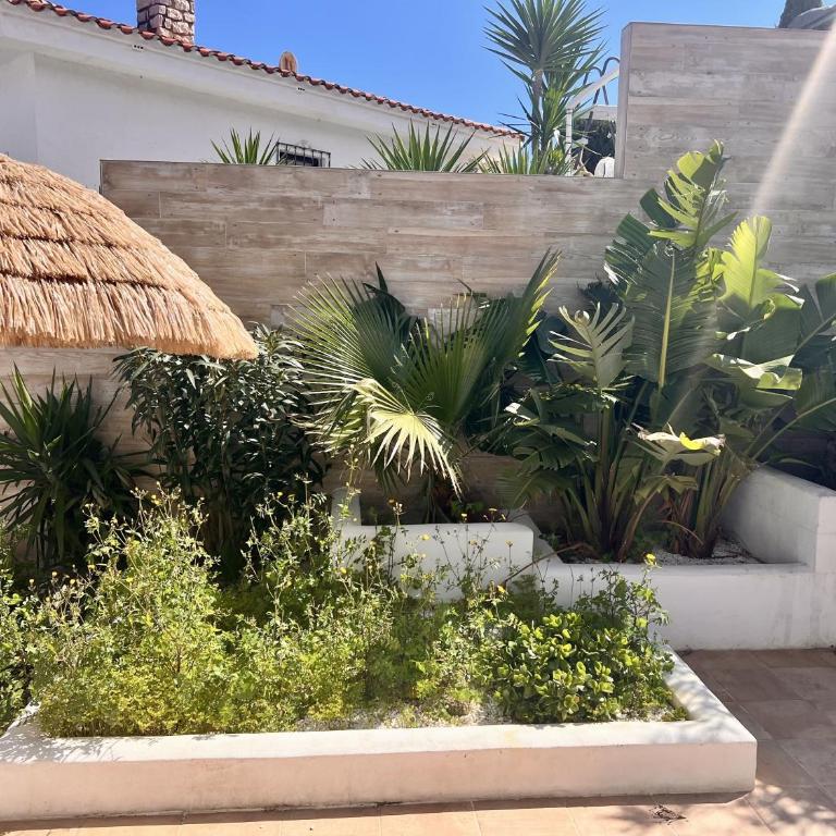 Casa Ibicenca - Precioso chalet con piscina - Chalet de 2 dormitorios - 24
