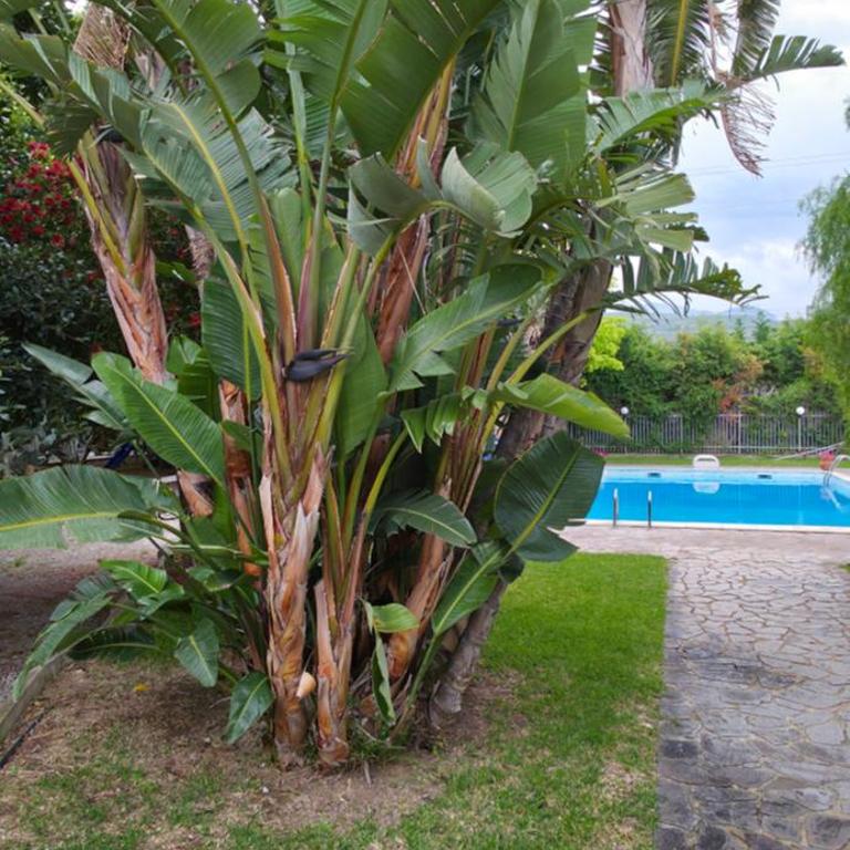 Principe by Penta Dream House - Appartement 2 Chambres - 9