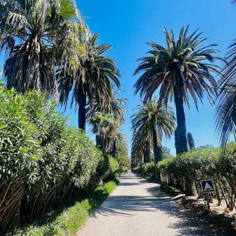 Villa - Parc de la Moutte - Saint-Tropez - Haus mit 5 Schlafzimmern - 20