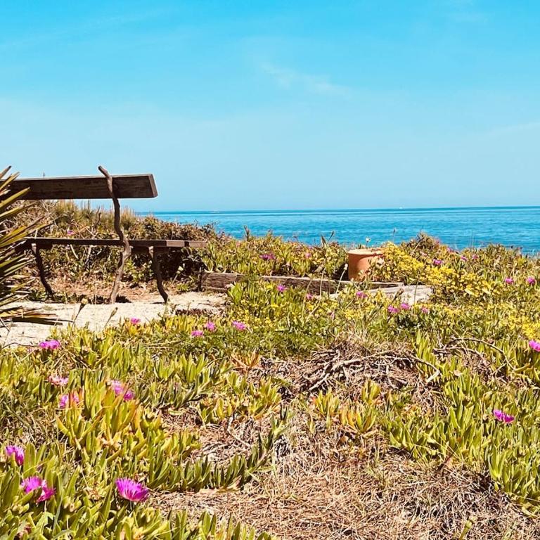 Villa - Parc de la Moutte - Saint-Tropez - Haus mit 5 Schlafzimmern - 24