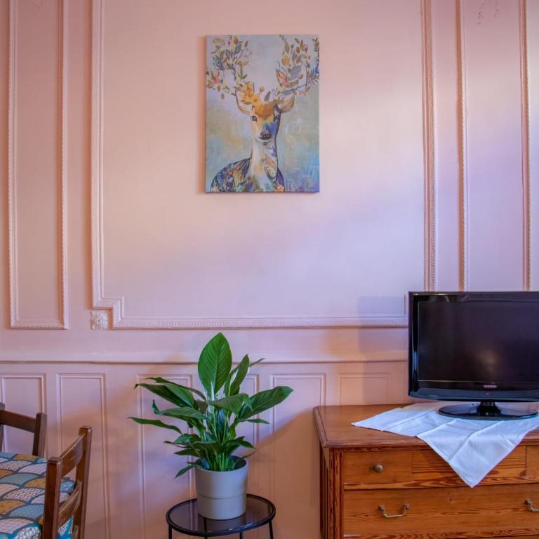 appartement plein centre, 42m au calme avec balcon et wifi - Apartment mit 1 Schlafzimmer - 6