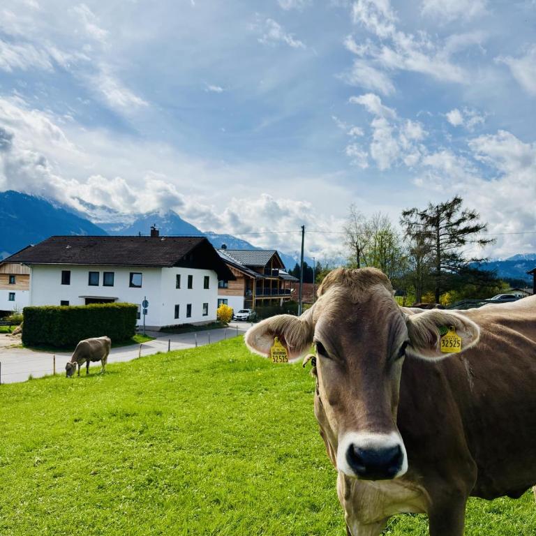 Ferienwohnung Allgäu-Traum - Apartment - 4
