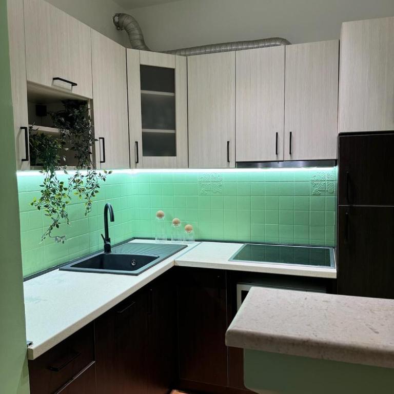 Mango Apartments Petrovac - Two-Bedroom Apartment with Terrace - 4
