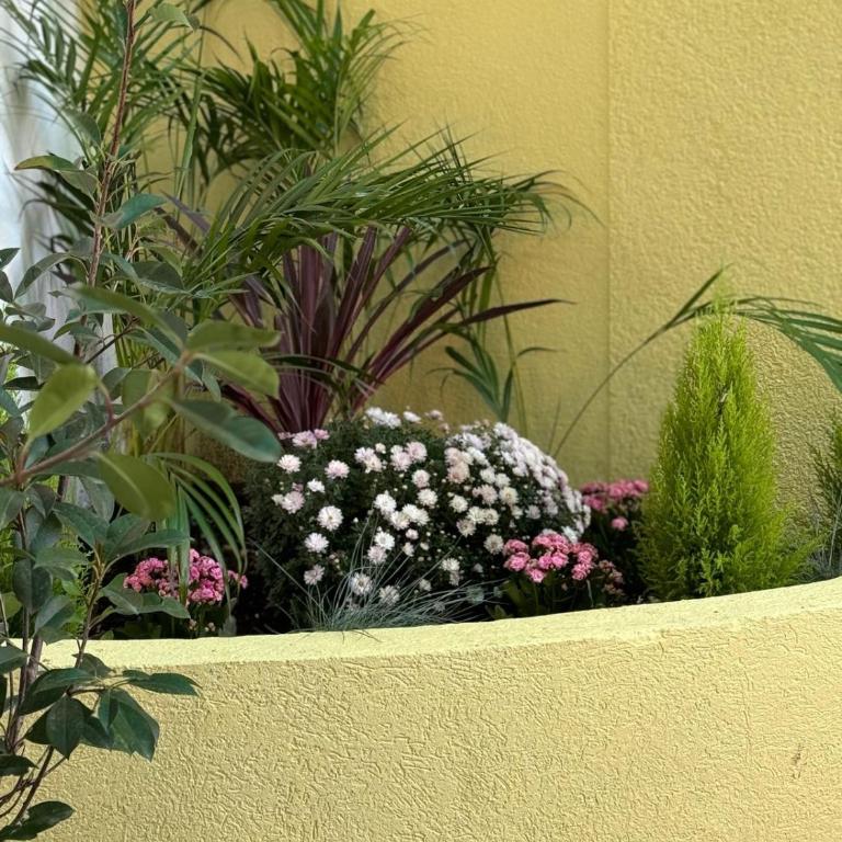 Mango Apartments Petrovac - Two-Bedroom Apartment with Terrace - 16