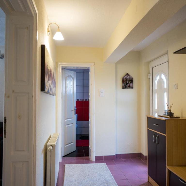Gajic & Milini - Apartman sa 2 Spavaće Sobe - 4