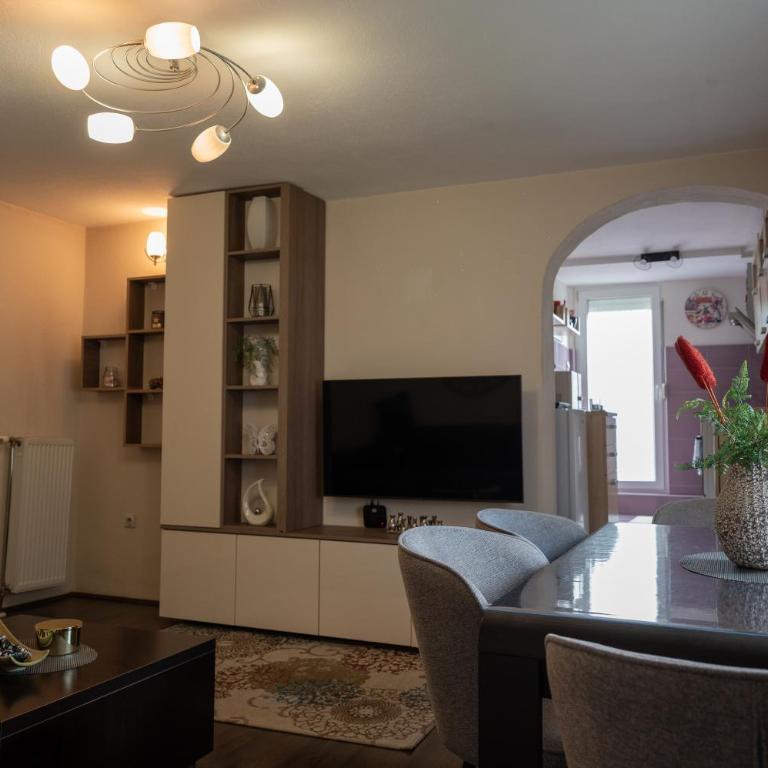 Gajic & Milini - Apartman sa 2 Spavaće Sobe - 1