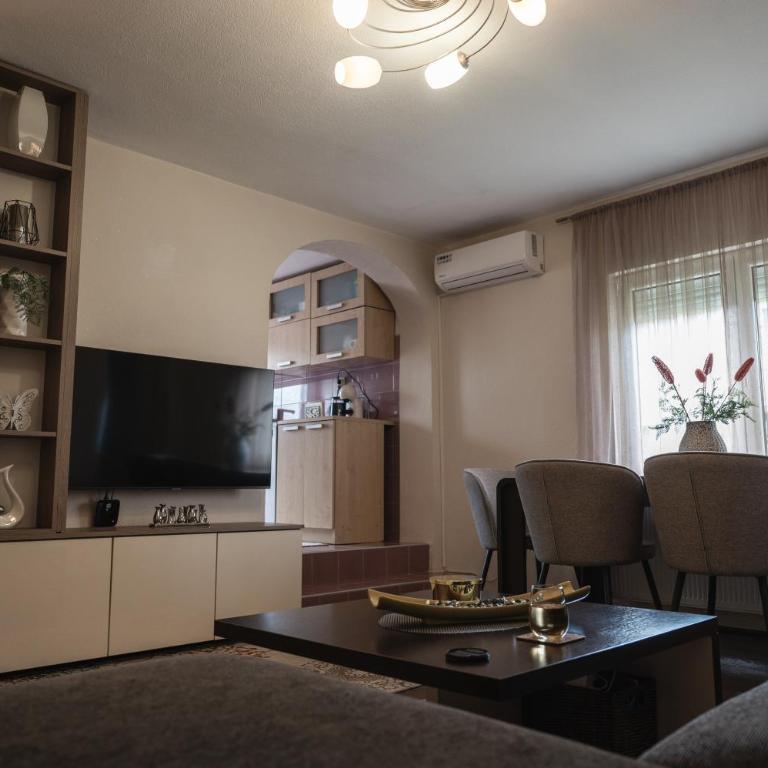 Gajic & Milini - Apartman sa 2 Spavaće Sobe - 6