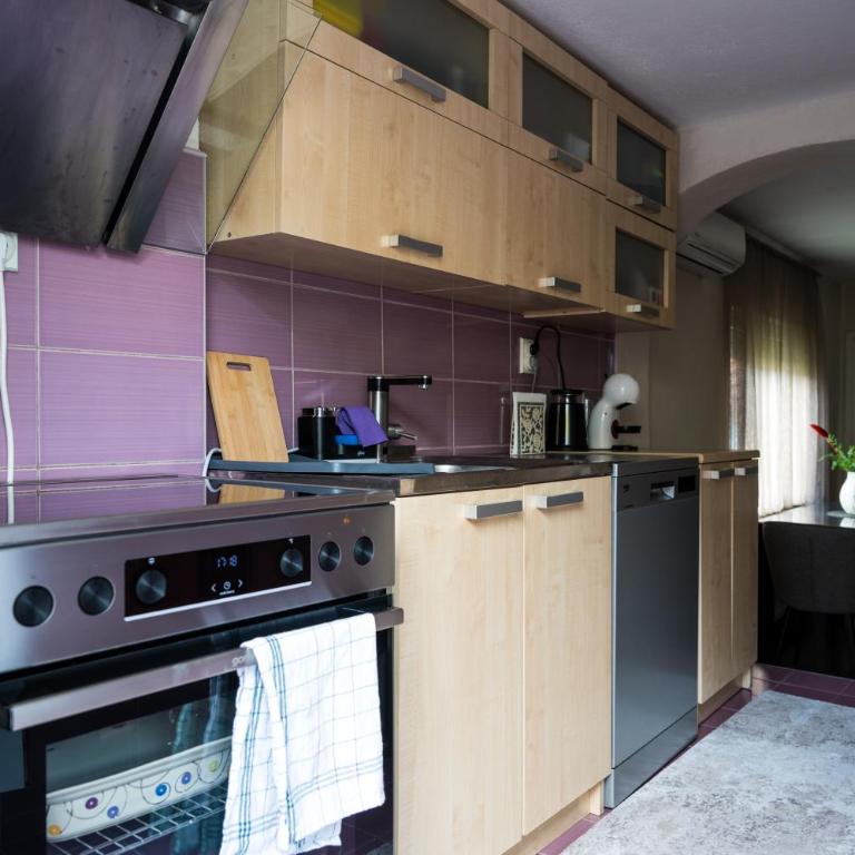 Gajic & Milini - Apartman sa 2 Spavaće Sobe - 8