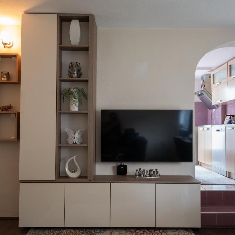 Gajic & Milini - Apartman sa 2 Spavaće Sobe - 11