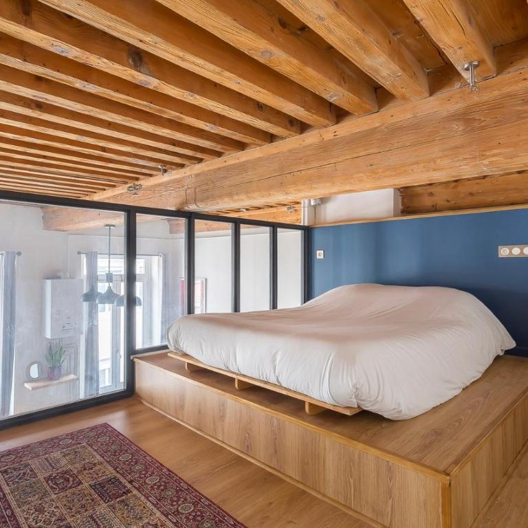 Le Tisserand - Superbe Canut pentes Croix Rousse - Appartement - 13