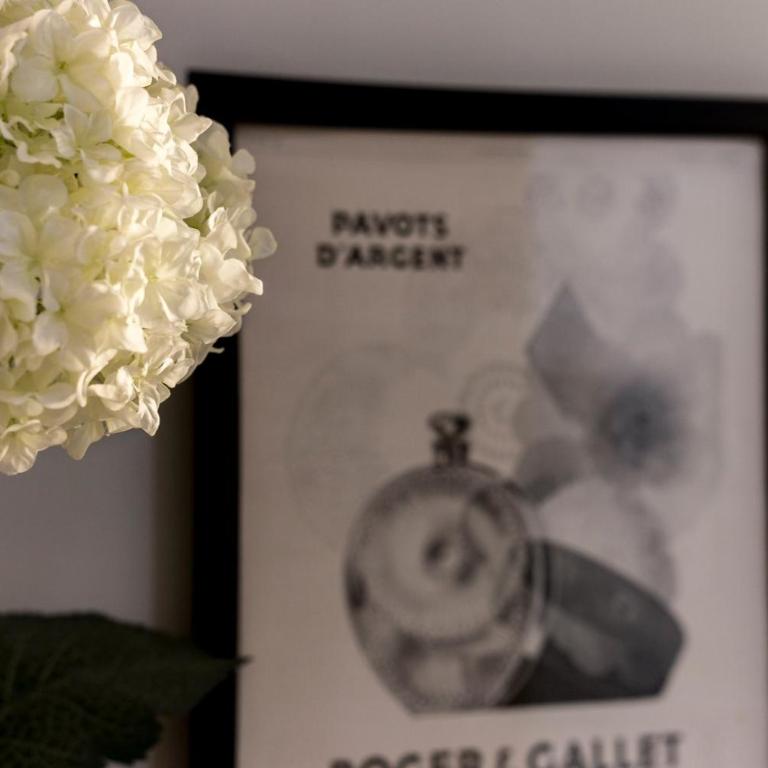 L'Ethnic Ambience - Superbe appartement tout confort au coeur du Vieux Lyon - Appartement - 20