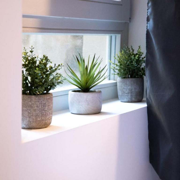 Le St Germain - Pétillant studio décoré avec goût en centre-ville - Studio - 19