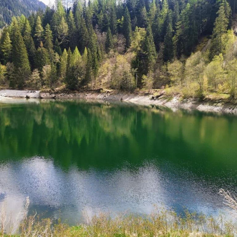 Romantisches Walliser Chalet mit Bergpanorama - Apartment mit 1 Schlafzimmer - 40