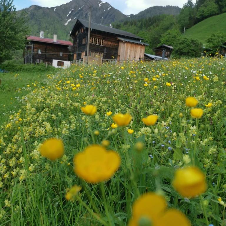 Romantisches Walliser Chalet mit Bergpanorama - Apartment mit 1 Schlafzimmer - 29