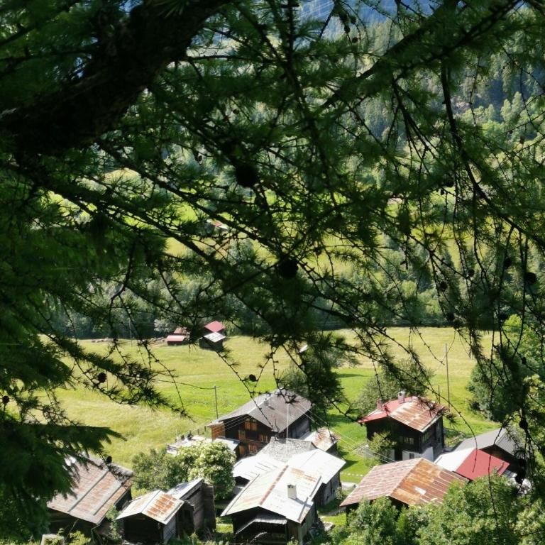 Romantisches Walliser Chalet mit Bergpanorama - Apartment mit 1 Schlafzimmer - 32