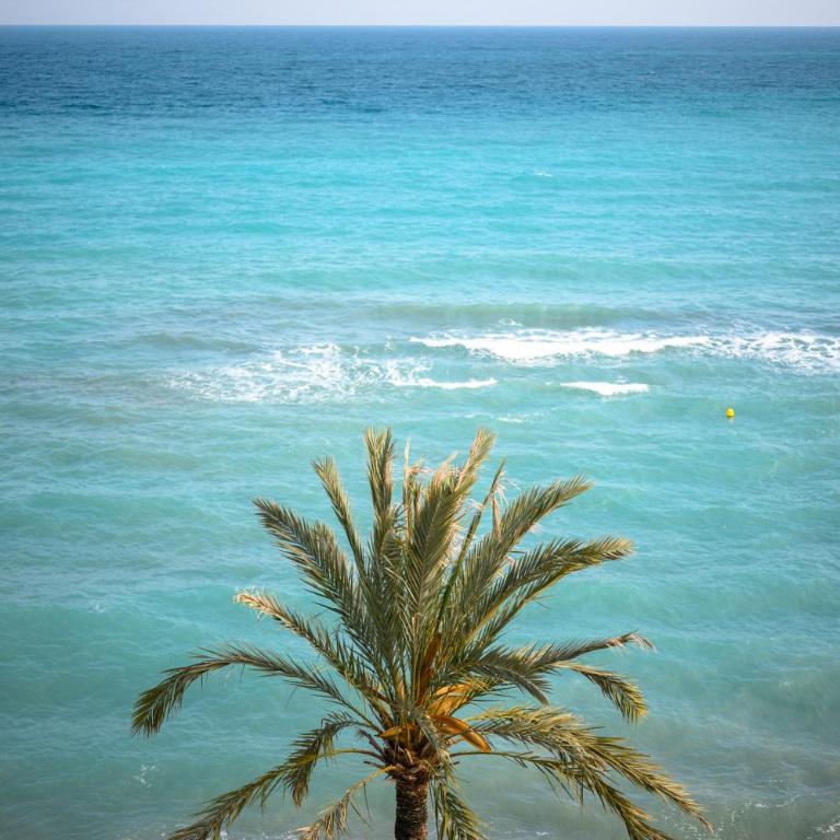 Rives d'or 2, Beautiful beachfront studio, beach access, AC - Studio - Vue sur Mer - 12