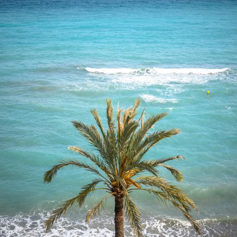 Rives d'or 2, Beautiful beachfront studio, beach access, AC - Studio - Vue sur Mer - 15