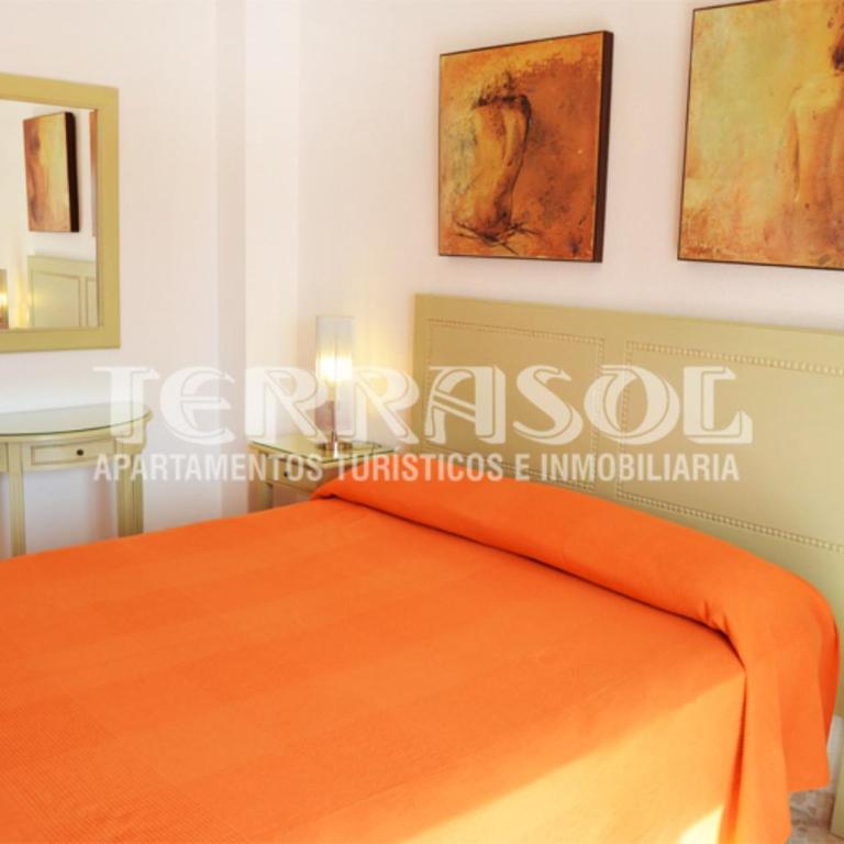 Terrasol Azucarera Atico H - Apartment - 12