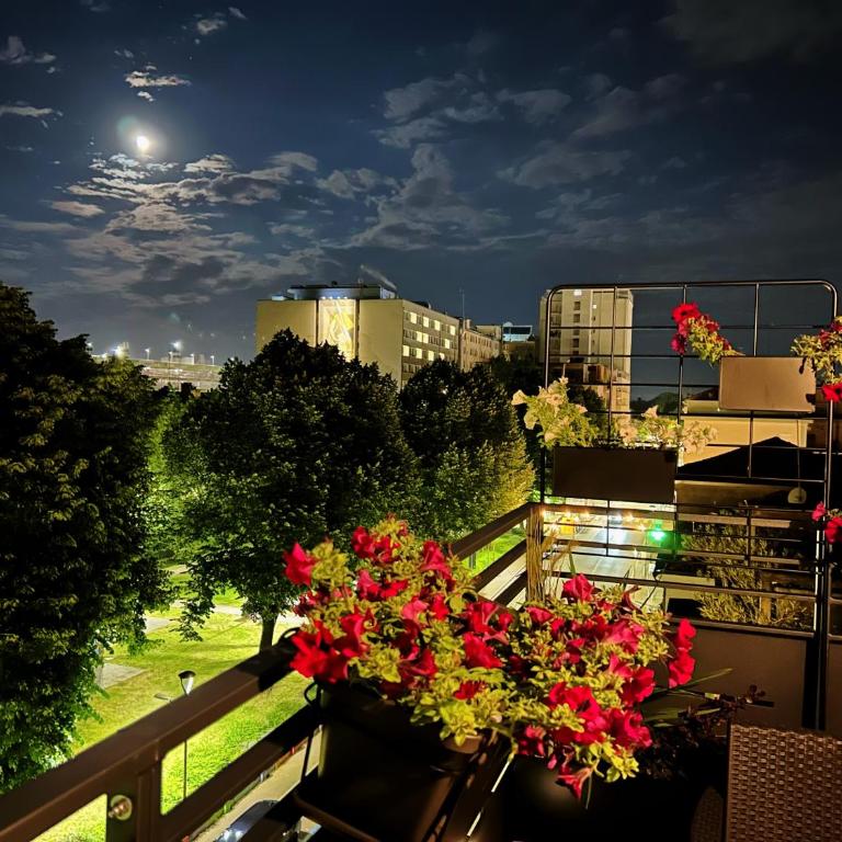 Venezia Visualizza B&B - Appartamento con 2 Camere da Letto - 23