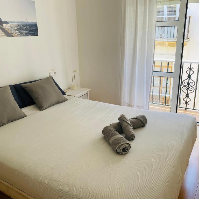Ático Cádiz Centro - Apartamento de 1 dormitorio - 1