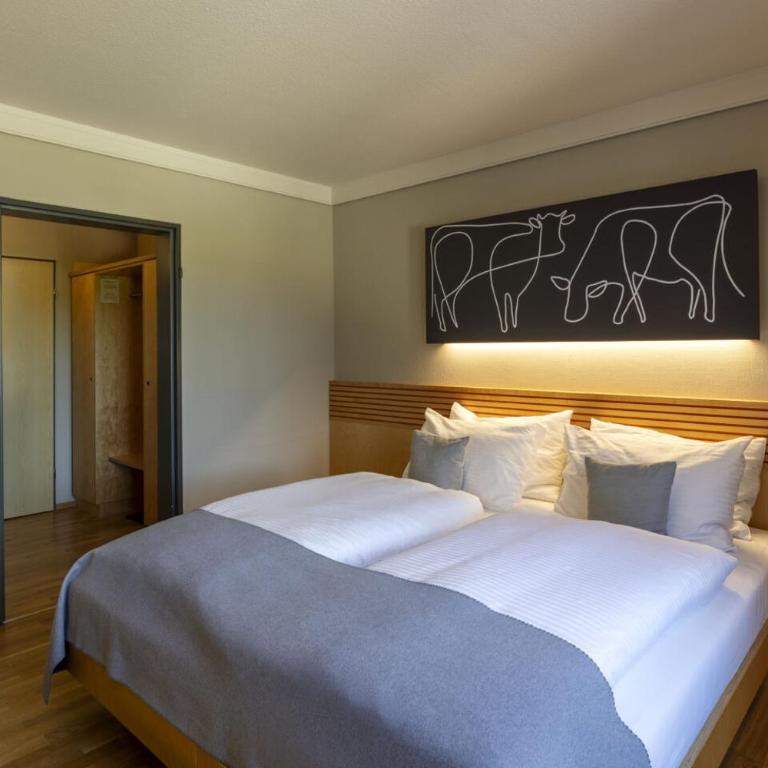 JUFA Hotel Wangen im Allgäu - Doppelzimmer - 2