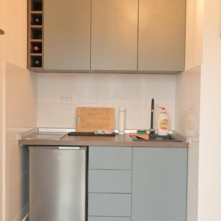 MUNJA Apartman - Apartman sa 1 Spavaćom Sobom - 4