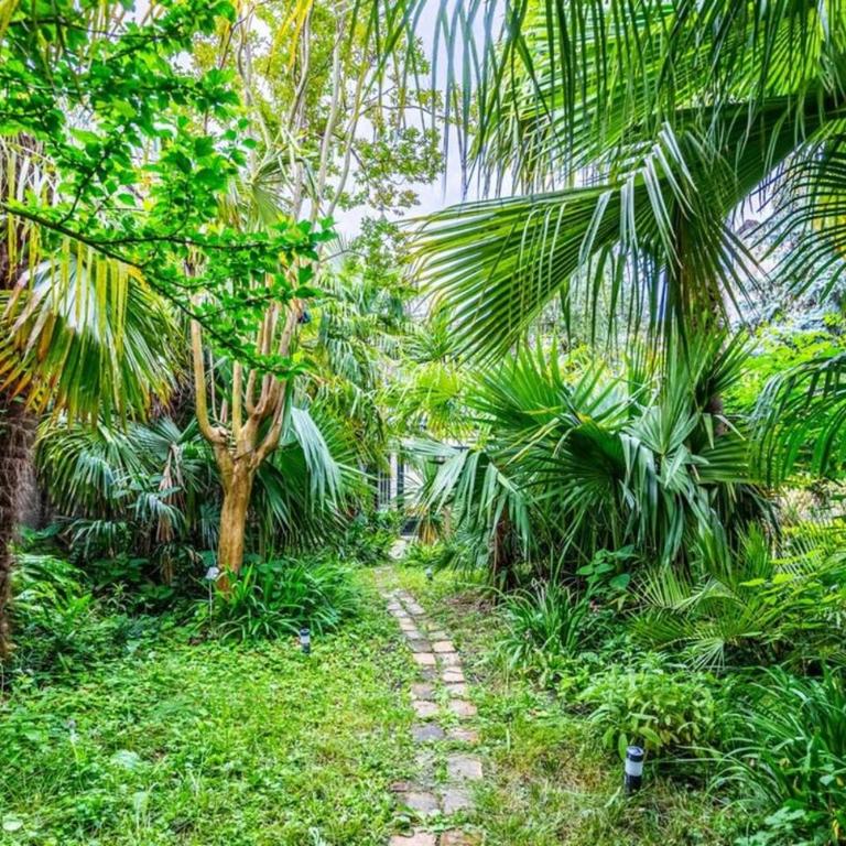 Tropical House - Villa con 3 Camere da Letto - 12