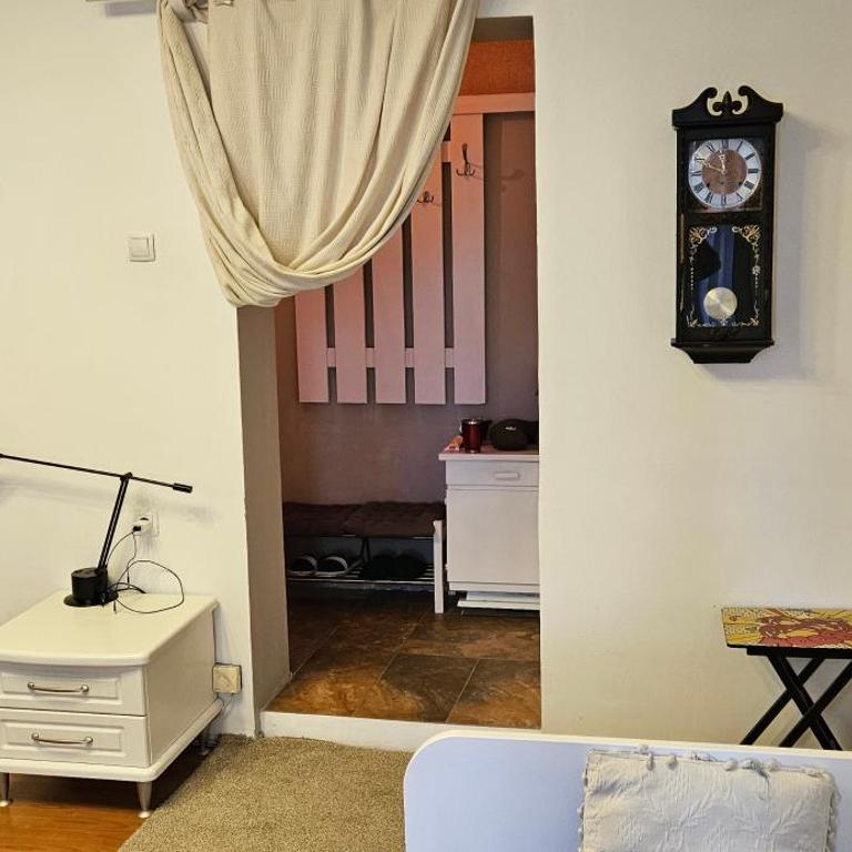 Oldest House Belgrade - Apartman sa 1 Spavaćom Sobom sa Pogledom na Grad - 35