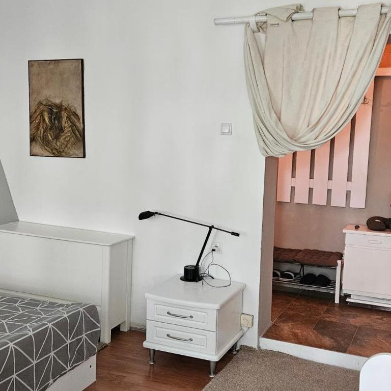 Oldest House Belgrade - Apartman sa 1 Spavaćom Sobom sa Pogledom na Grad - 38