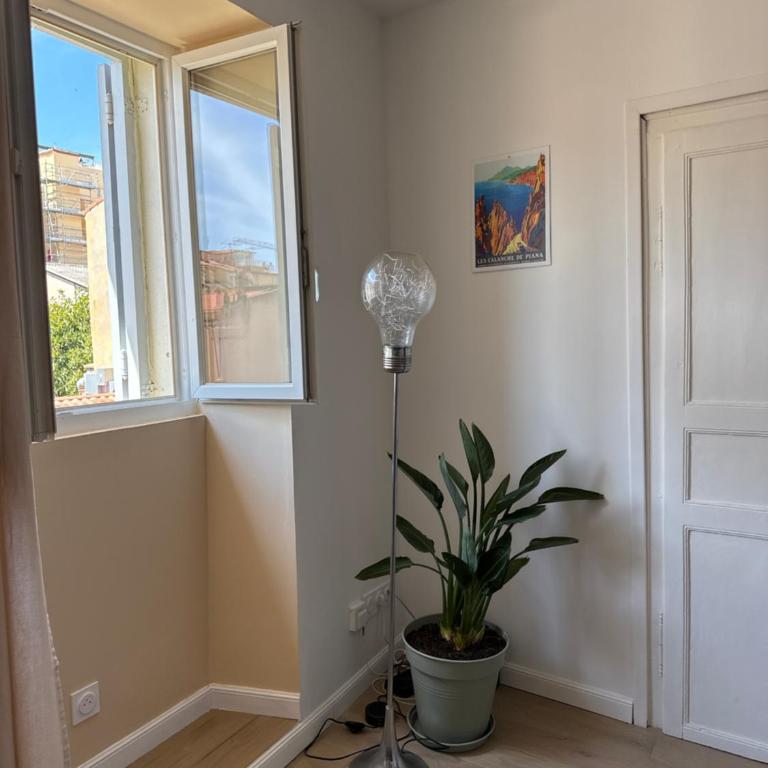 T2 Cosy HYPER CENTRE AJACCIO - Appartement 1 Chambre - 4
