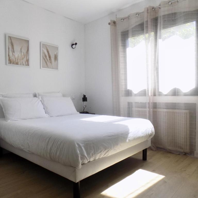 Near Canet, renovated apartment - Appartamento con 1 Camera da Letto - 11
