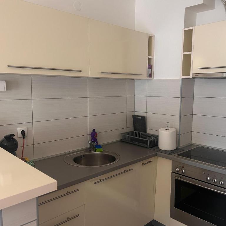 Apartment ''Dream&Relax'' Trebinje - Apartman sa 1 Spavaćom Sobom - 22