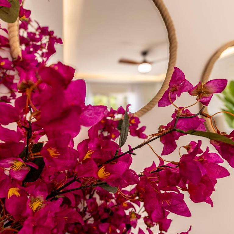 COZY APARTMENT BETWEEN THE PORT AND THE BEACH LA RADA - Apartamento de 2 dormitorios - 68