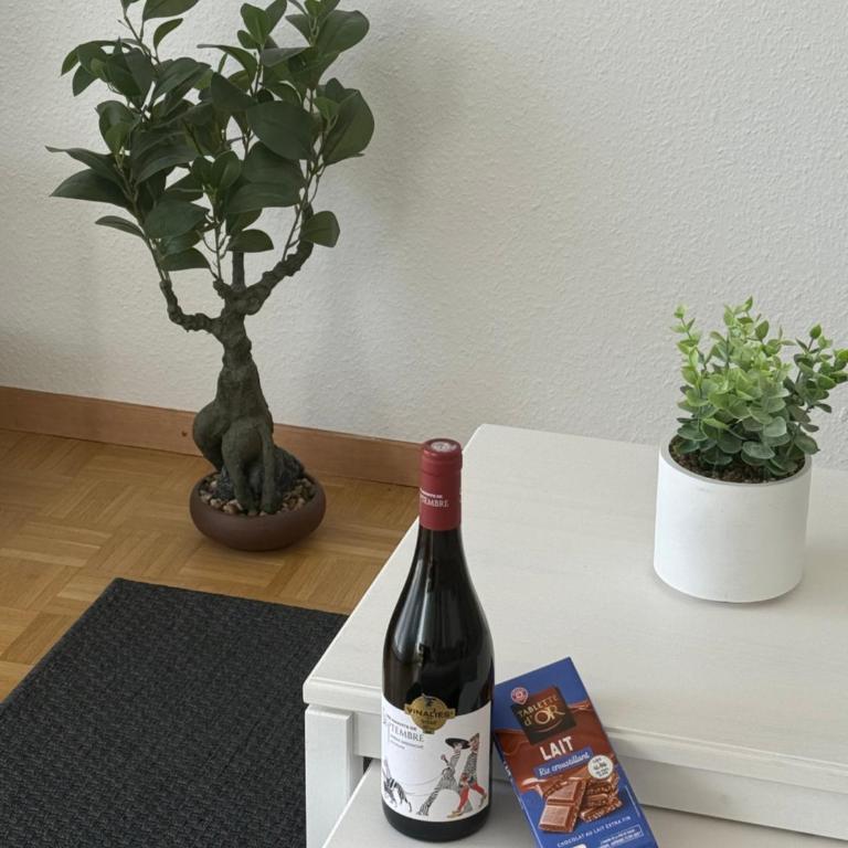 Amazing location Geneva , Eauv-Vives - Appartement 2 Chambres - 16
