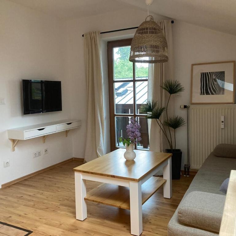 Apartment Grünstein - One-Bedroom Apartment with Balcony and Mountain View - 1
