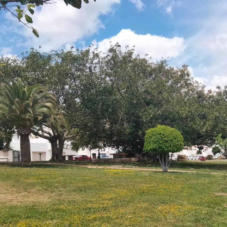 Apartamento primera línea de playa - Apartamento de 1 dormitorio - 50