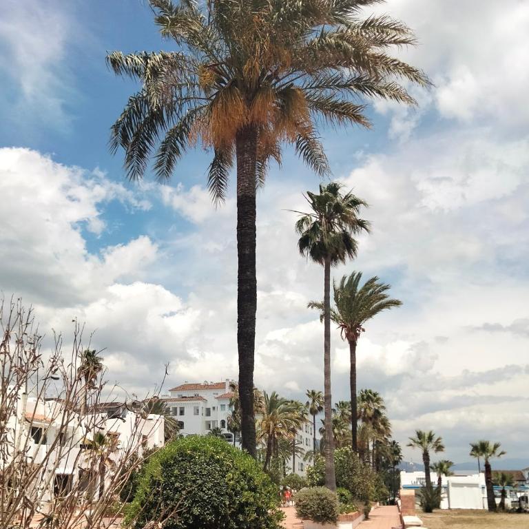 Apartamento primera línea de playa - Apartamento de 1 dormitorio - 47