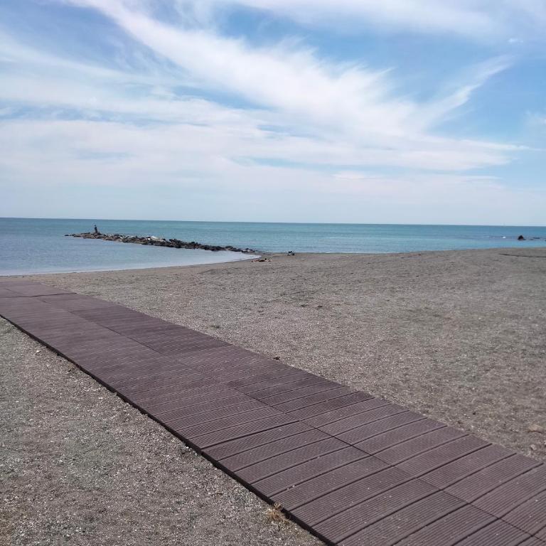 Apartamento primera línea de playa - Apartamento de 1 dormitorio - 49