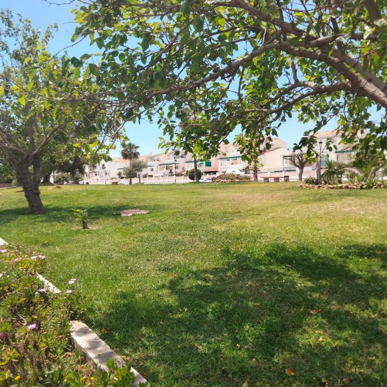 Apartamento primera línea de playa - Apartamento de 1 dormitorio - 52