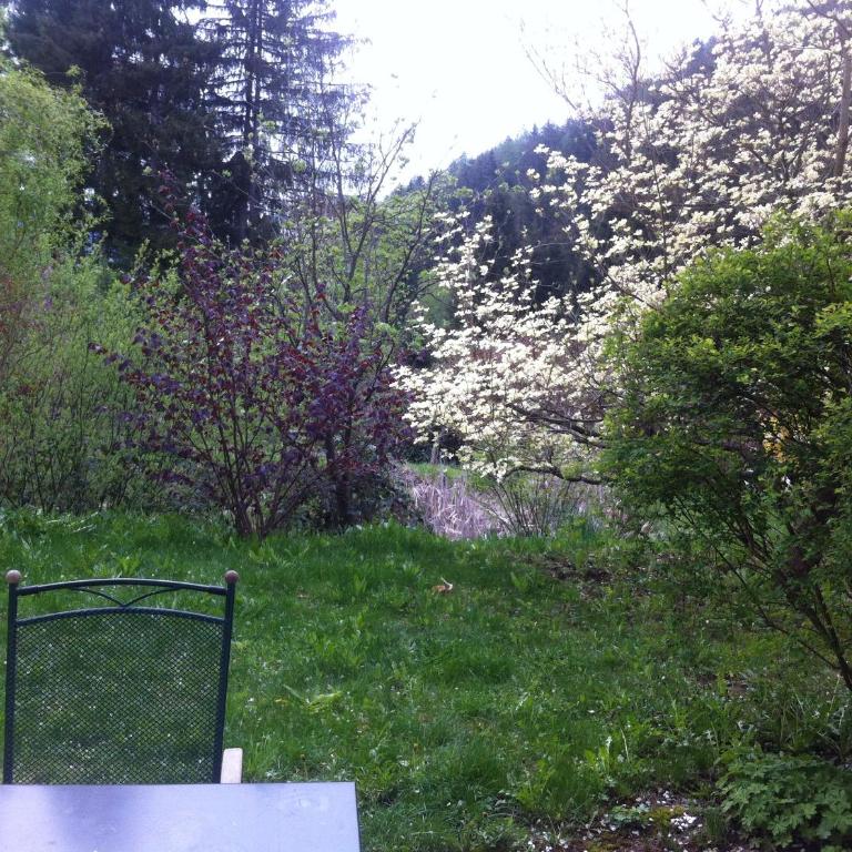 Apartment Grössenberg - Apartment mit Terrasse - 9