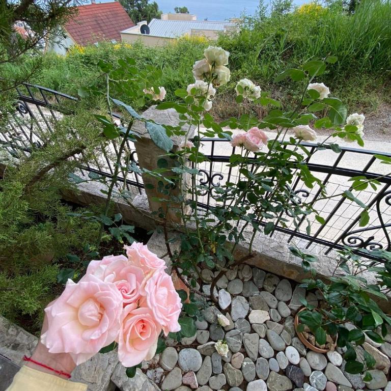 Tri bora - Apartman sa 1 Spavaćom Sobom - 6