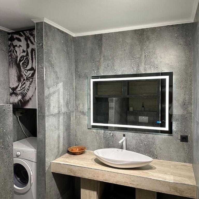 Tri bora - Apartman sa 1 Spavaćom Sobom - 16