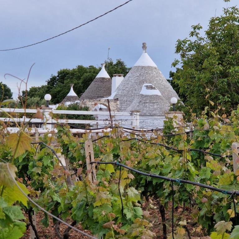 Antico TRULLO Altavilla In valle d'itria tra Martina Franca, Ceglie Messapica, Cisternino - Casa con 2 Camere da Letto - 19