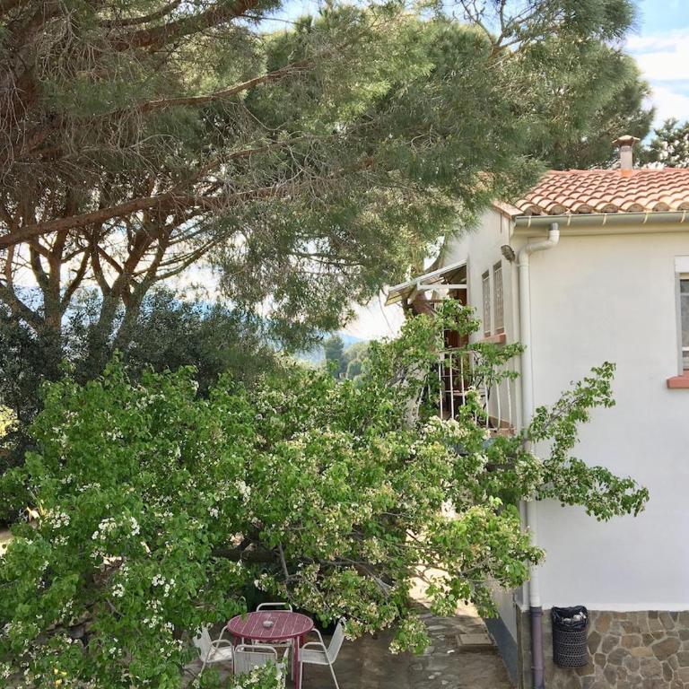 Les Meublés de la Corniche - Apartment mit 1 Schlafzimmer - 7