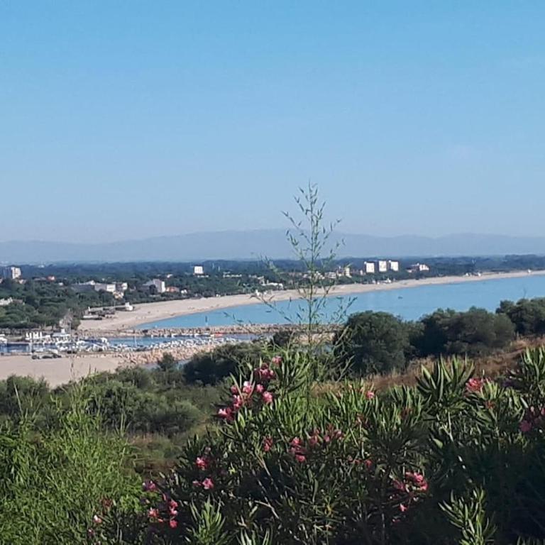 Les Meublés de la Corniche - Apartment mit 1 Schlafzimmer - 11