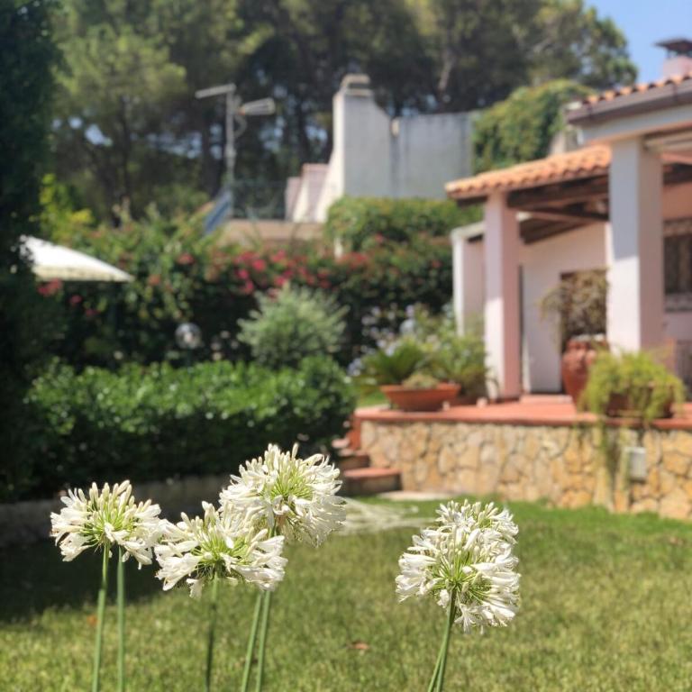 Le tre Palme - Casa con 3 Camere da Letto - 52