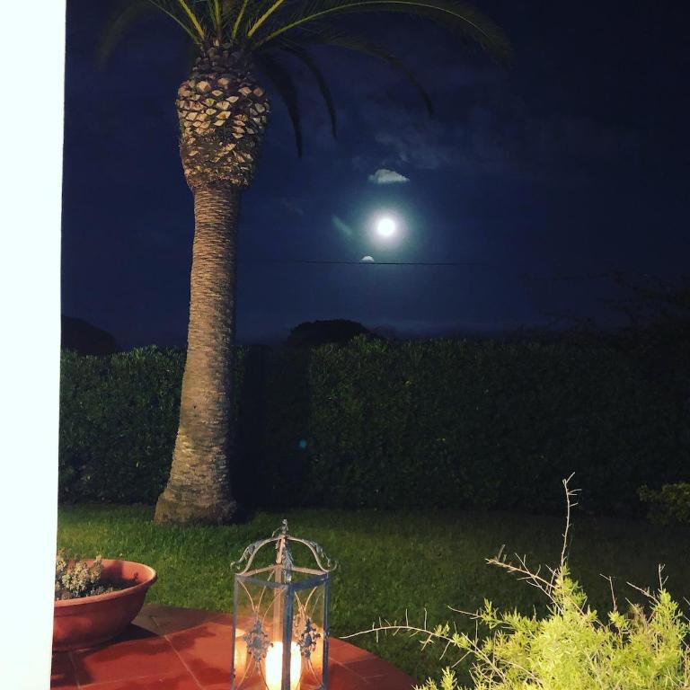 Le tre Palme - Casa con 3 Camere da Letto - 44