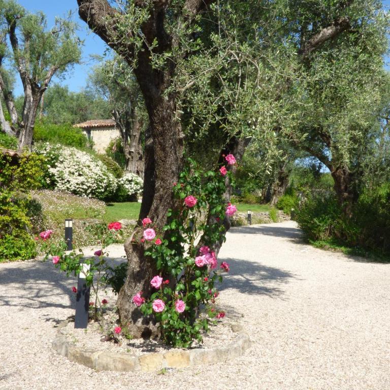 Apartment Cézanne with heated pool and private garden - Appartement avec Terrasse - 43