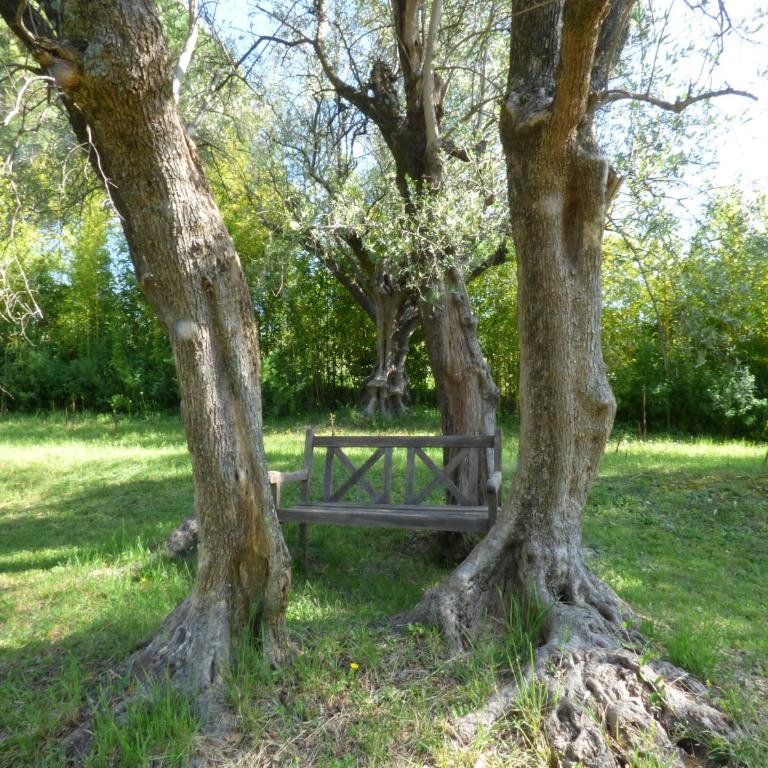 Apartment Cézanne with heated pool and private garden - Appartement avec Terrasse - 47